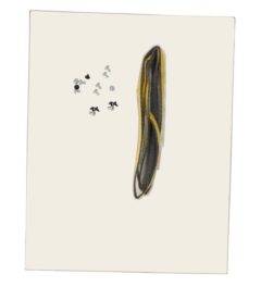 Villager Door Glass Kit For I699 Series